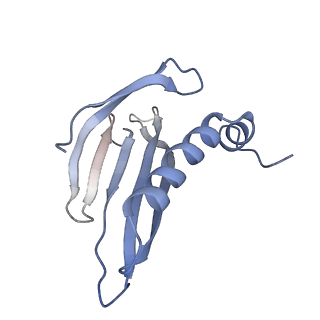 8709_5vlz_HL_v1-4
Backbone model for phage Qbeta capsid