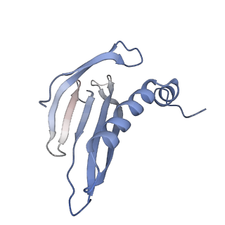 8709_5vlz_HL_v1-5
Backbone model for phage Qbeta capsid