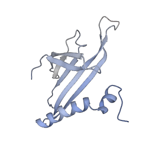 8709_5vlz_HN_v1-4
Backbone model for phage Qbeta capsid