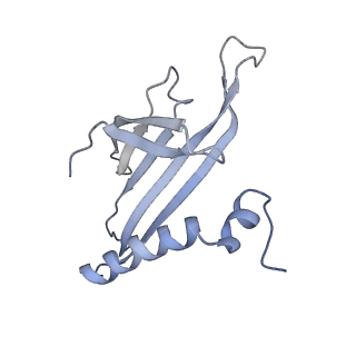 8709_5vlz_HN_v1-5
Backbone model for phage Qbeta capsid