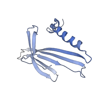 8709_5vlz_IA_v1-4
Backbone model for phage Qbeta capsid