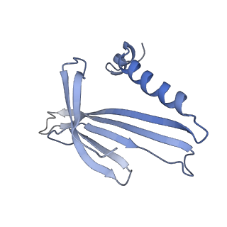 8709_5vlz_IA_v1-5
Backbone model for phage Qbeta capsid