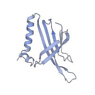 8709_5vlz_IC_v1-4
Backbone model for phage Qbeta capsid
