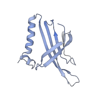 8709_5vlz_IC_v1-5
Backbone model for phage Qbeta capsid