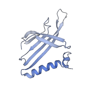 8709_5vlz_ID_v1-5
Backbone model for phage Qbeta capsid