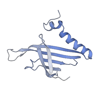 8709_5vlz_IE_v1-4
Backbone model for phage Qbeta capsid