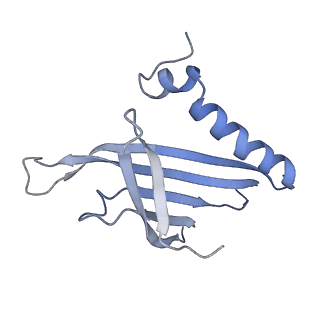 8709_5vlz_IE_v1-5
Backbone model for phage Qbeta capsid