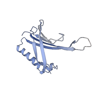 8709_5vlz_IF_v1-4
Backbone model for phage Qbeta capsid