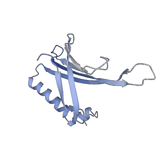 8709_5vlz_IF_v1-5
Backbone model for phage Qbeta capsid