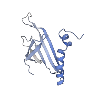 8709_5vlz_IG_v1-4
Backbone model for phage Qbeta capsid