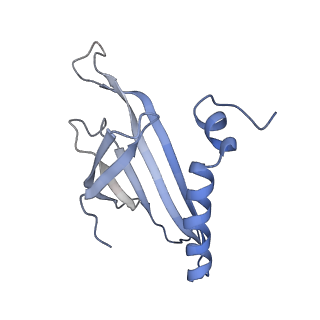 8709_5vlz_IG_v1-5
Backbone model for phage Qbeta capsid