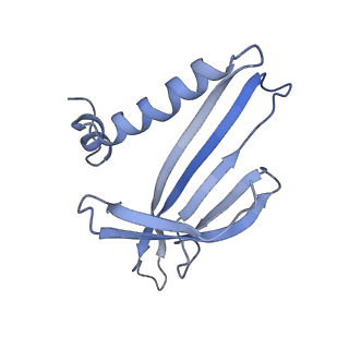 8709_5vlz_IH_v1-5
Backbone model for phage Qbeta capsid