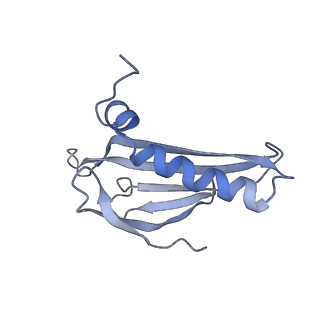 8709_5vlz_IJ_v1-4
Backbone model for phage Qbeta capsid