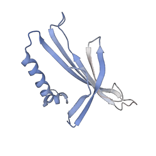 8709_5vlz_IK_v1-4
Backbone model for phage Qbeta capsid