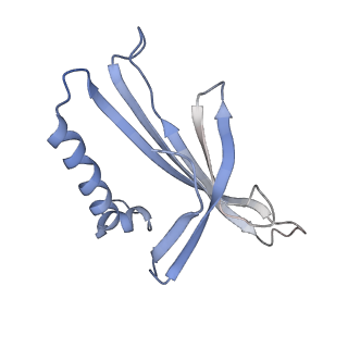 8709_5vlz_IK_v1-5
Backbone model for phage Qbeta capsid