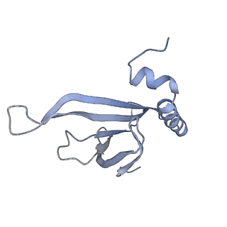 8709_5vlz_IL_v1-4
Backbone model for phage Qbeta capsid