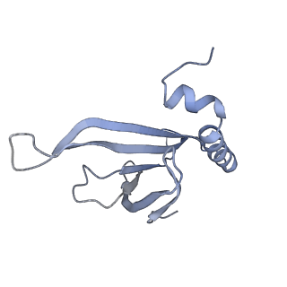 8709_5vlz_IL_v1-5
Backbone model for phage Qbeta capsid