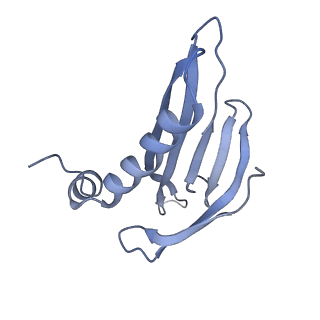 8709_5vlz_IM_v1-4
Backbone model for phage Qbeta capsid