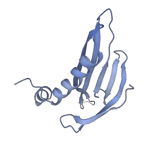 8709_5vlz_IM_v1-5
Backbone model for phage Qbeta capsid