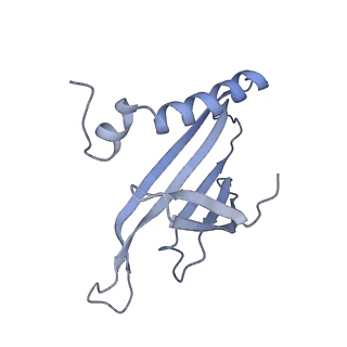 8709_5vlz_JA_v1-4
Backbone model for phage Qbeta capsid