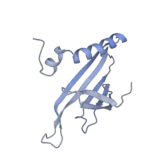 8709_5vlz_JA_v1-5
Backbone model for phage Qbeta capsid