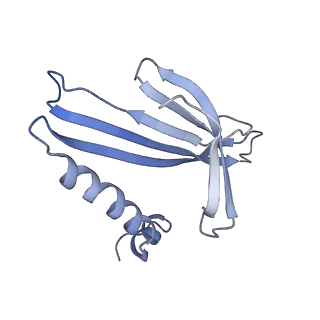 8709_5vlz_JB_v1-5
Backbone model for phage Qbeta capsid