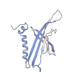 8709_5vlz_JD_v1-4
Backbone model for phage Qbeta capsid