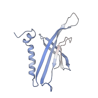 8709_5vlz_JD_v1-5
Backbone model for phage Qbeta capsid