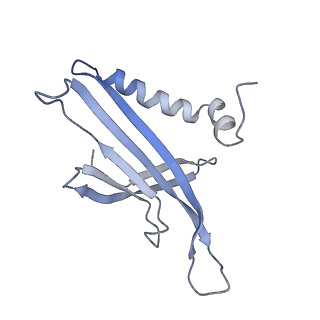 8709_5vlz_JE_v1-4
Backbone model for phage Qbeta capsid
