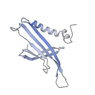 8709_5vlz_JE_v1-5
Backbone model for phage Qbeta capsid