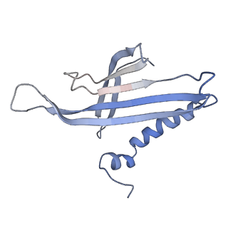 8709_5vlz_JF_v1-4
Backbone model for phage Qbeta capsid