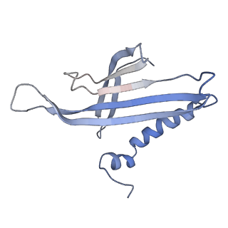 8709_5vlz_JF_v1-5
Backbone model for phage Qbeta capsid