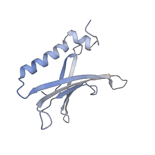 8709_5vlz_JG_v1-4
Backbone model for phage Qbeta capsid