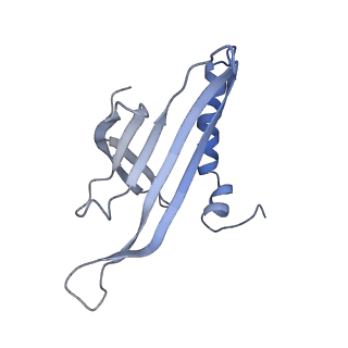 8709_5vlz_JH_v1-4
Backbone model for phage Qbeta capsid