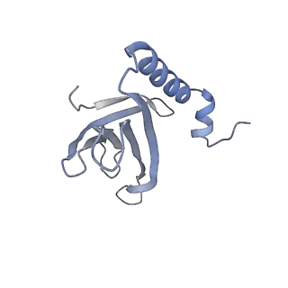 8709_5vlz_JJ_v1-4
Backbone model for phage Qbeta capsid