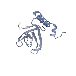 8709_5vlz_JJ_v1-5
Backbone model for phage Qbeta capsid