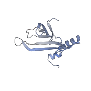 8709_5vlz_JL_v1-5
Backbone model for phage Qbeta capsid