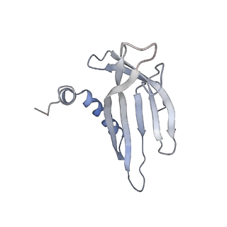 8709_5vlz_JM_v1-4
Backbone model for phage Qbeta capsid