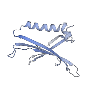8709_5vlz_JN_v1-4
Backbone model for phage Qbeta capsid