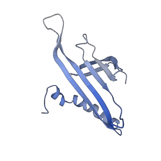 8709_5vlz_KA_v1-4
Backbone model for phage Qbeta capsid