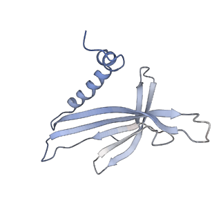 8709_5vlz_KB_v1-4
Backbone model for phage Qbeta capsid