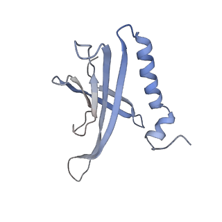 8709_5vlz_KC_v1-5
Backbone model for phage Qbeta capsid