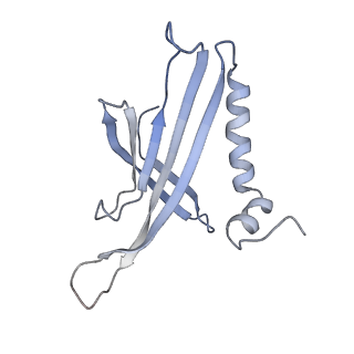 8709_5vlz_KD_v1-4
Backbone model for phage Qbeta capsid