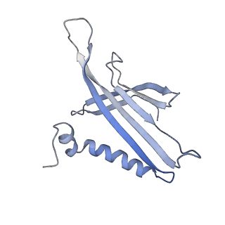 8709_5vlz_KE_v1-4
Backbone model for phage Qbeta capsid