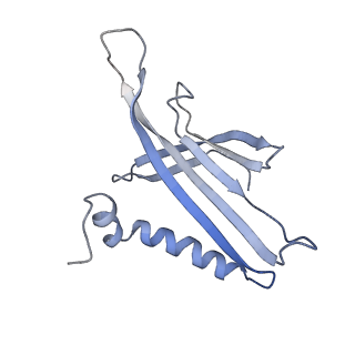 8709_5vlz_KE_v1-5
Backbone model for phage Qbeta capsid