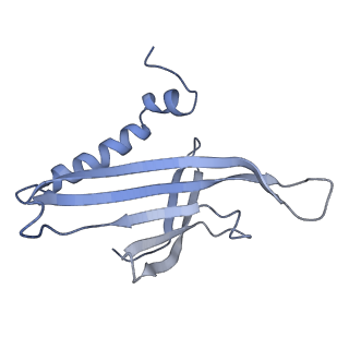 8709_5vlz_KF_v1-4
Backbone model for phage Qbeta capsid