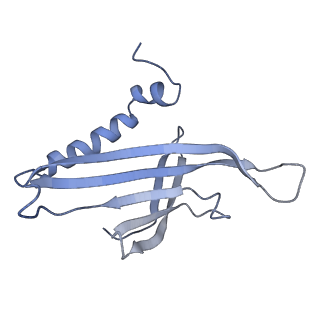 8709_5vlz_KF_v1-5
Backbone model for phage Qbeta capsid