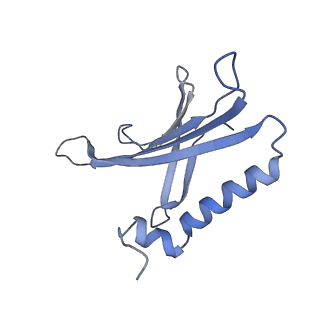 8709_5vlz_KG_v1-4
Backbone model for phage Qbeta capsid