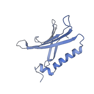 8709_5vlz_KG_v1-5
Backbone model for phage Qbeta capsid