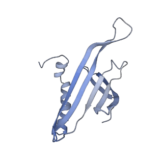 8709_5vlz_KH_v1-4
Backbone model for phage Qbeta capsid